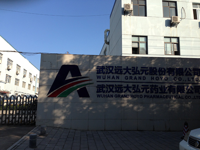 武大弘元2.jpg 武大弘元2.jpg